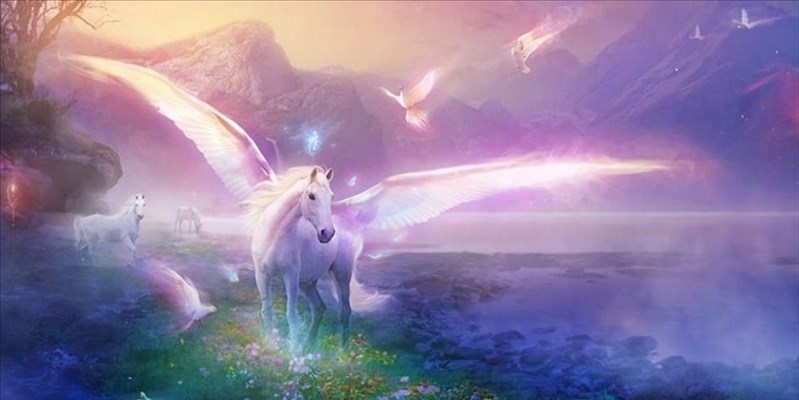 Gli unicorni esistono