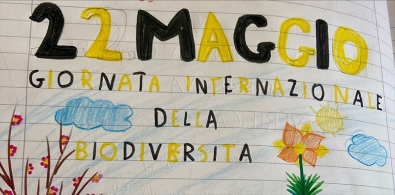 Le api : regine del lavoro di gruppo e della biodiversità