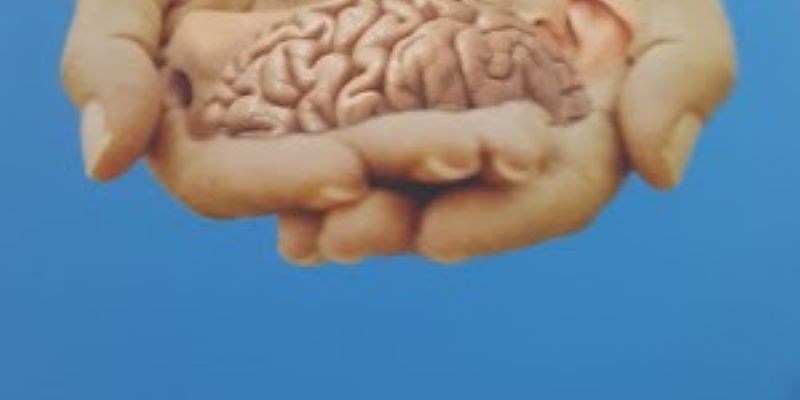 Il cervello è unisex, nessuna differenza tra uomini e donne