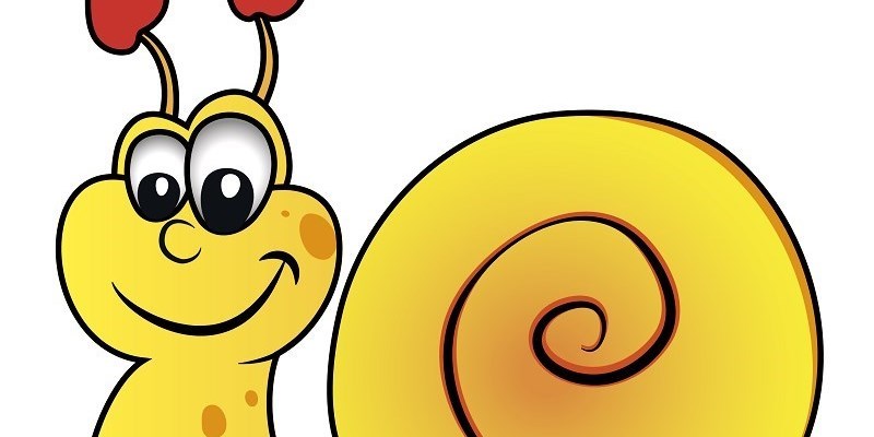 Animali in letargo: la chiocciola