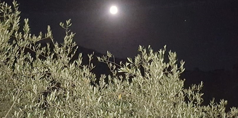 Stasera 3 luglio la prima SuperLuna, quella del Cervo