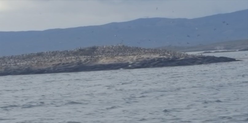 L’isola di Nonsochè di Giovanni Caviezel
