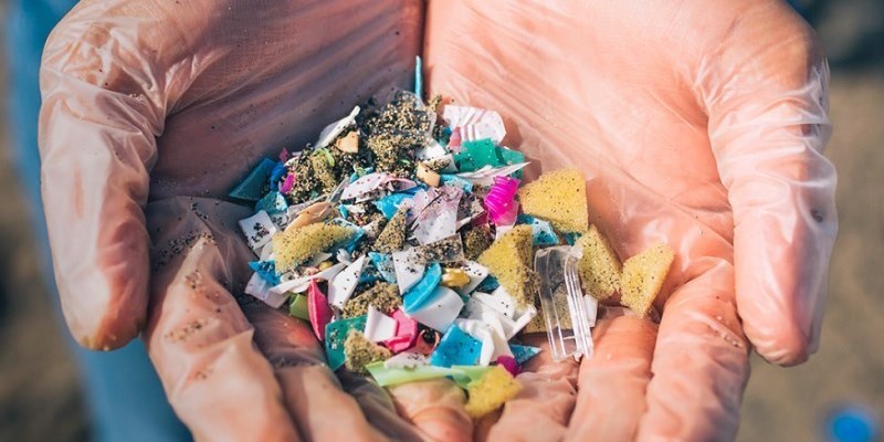 La microplastica si fa strada