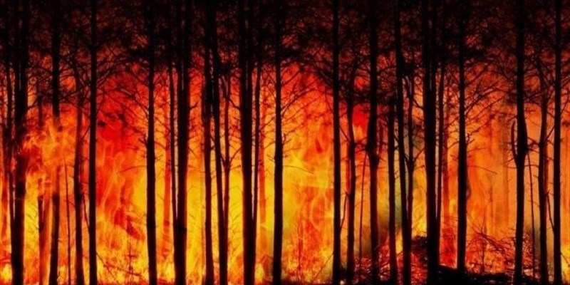 Incendi, dai boschi in fiamme sostanze nocive per il Mediterraneo