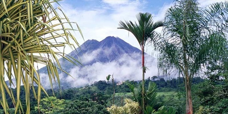 I parchi nazionali di Alerce Andino, Hornopirén, Pumalín, Corcovado