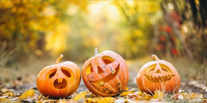 Halloween