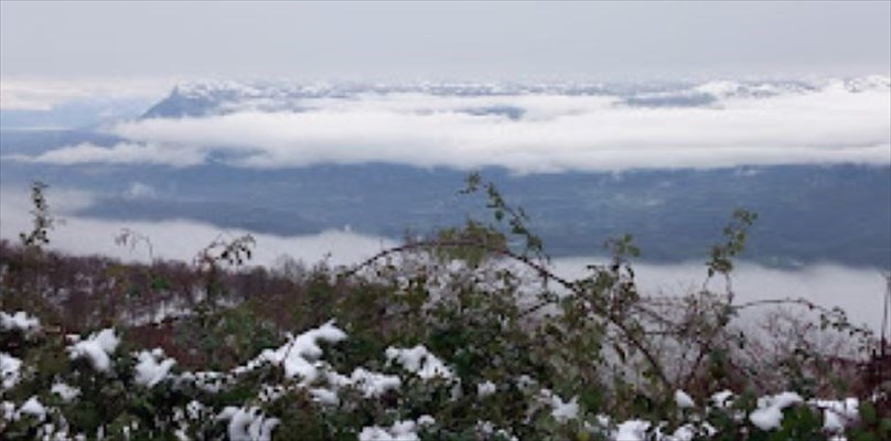 IL Cuore di neve di Loredana Frescura