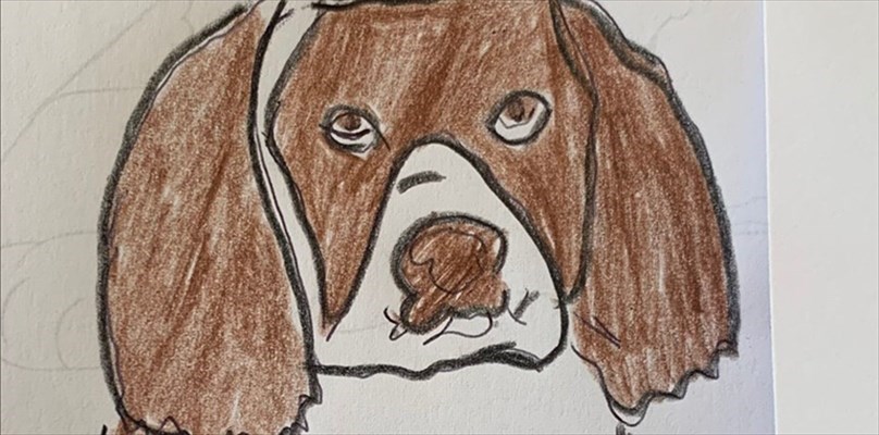 Buddy e Hartley: cani cuscino per la piccola Thea