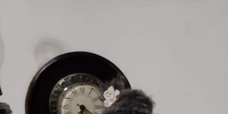Il tempo perso di Manuela Acquafresca