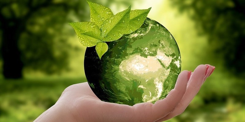 Ecologia