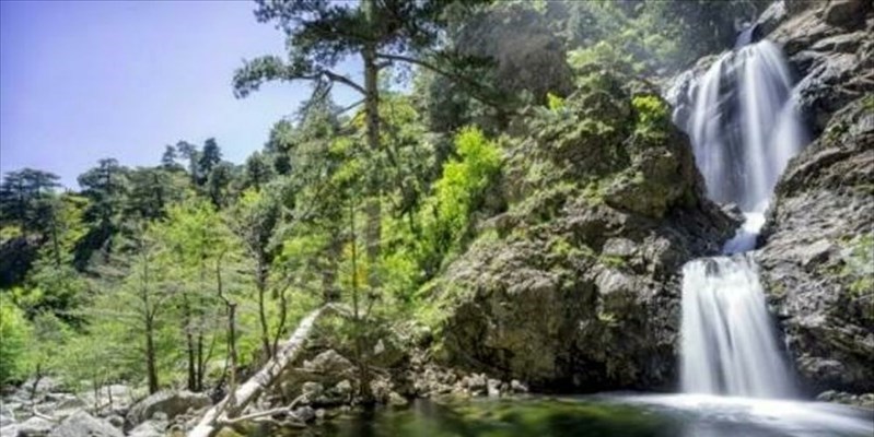 Il Parco dell’Aspromonte