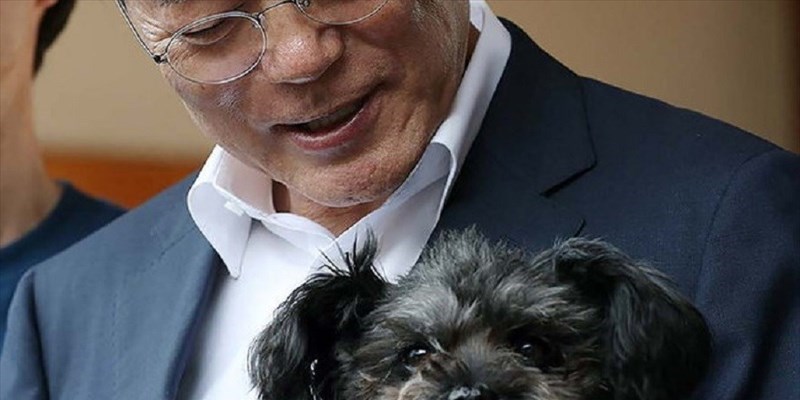 Corea del Sud, forse c’è salvezza per i cani