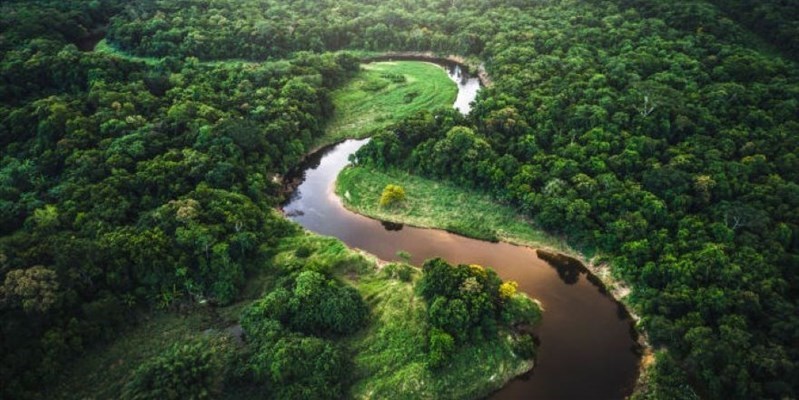 Il polmone terrestre si è ammalato