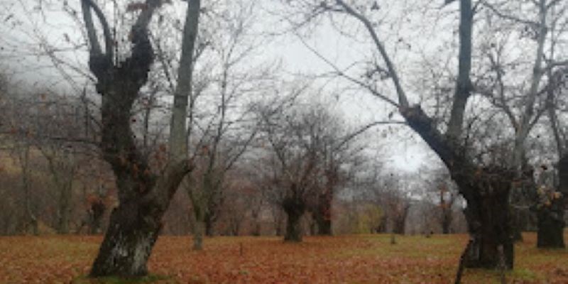 E siamo in “Autunno”