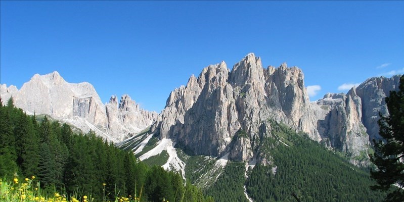 Le Alpi sempre più verdi