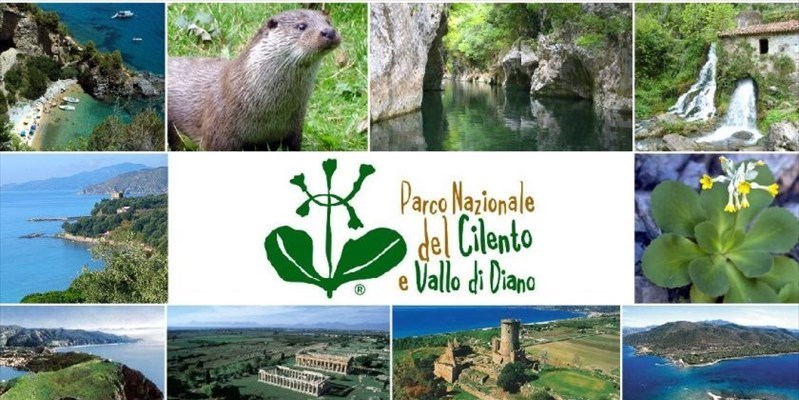 I Piccoli e il Parco…