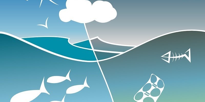 Le spiagge vogliono “rispetto”