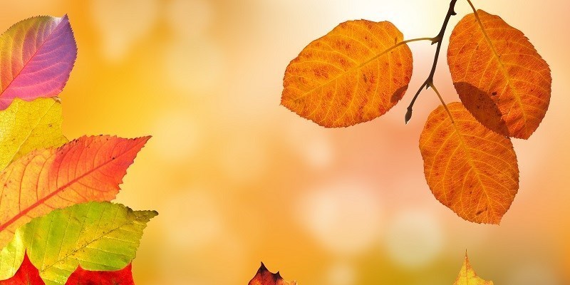 Conosciamo l’Autunno e le sue curiosità