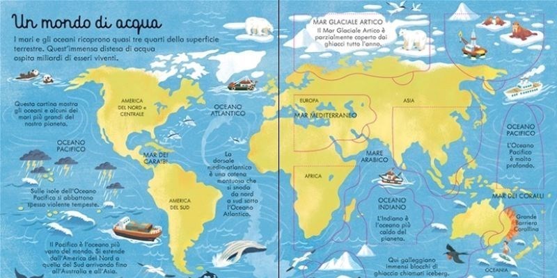 Curiosità sui mari e oceani