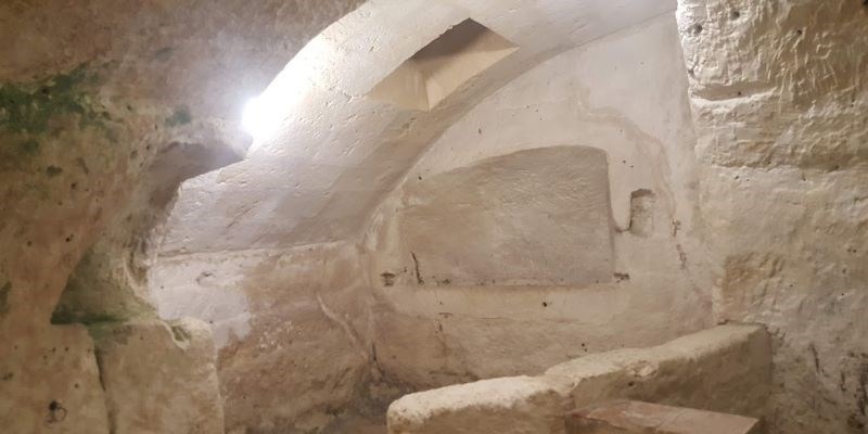 Antiche pitture rupestri scoperte in Francia