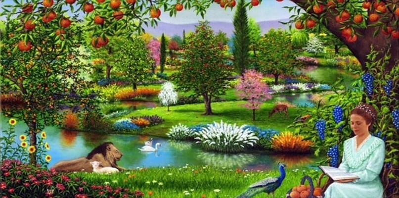 Un paradiso su misura