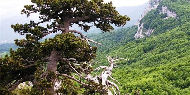 Il Parco Nazionale del Pollino