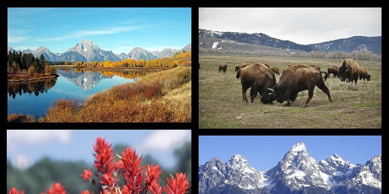 Parco nazionale Grand Teton, Wyoming