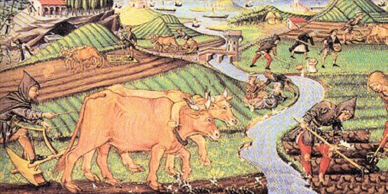 L’agricoltura è la forza che muove il Mondo: la vita del Contadino