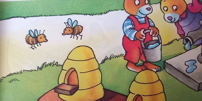 Bubu, Ape Pina e il contadino Burbero di Anna Valente