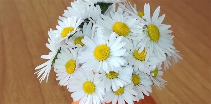 W PRIMAVERA!