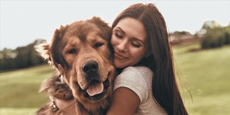 Il padrone e il cane
