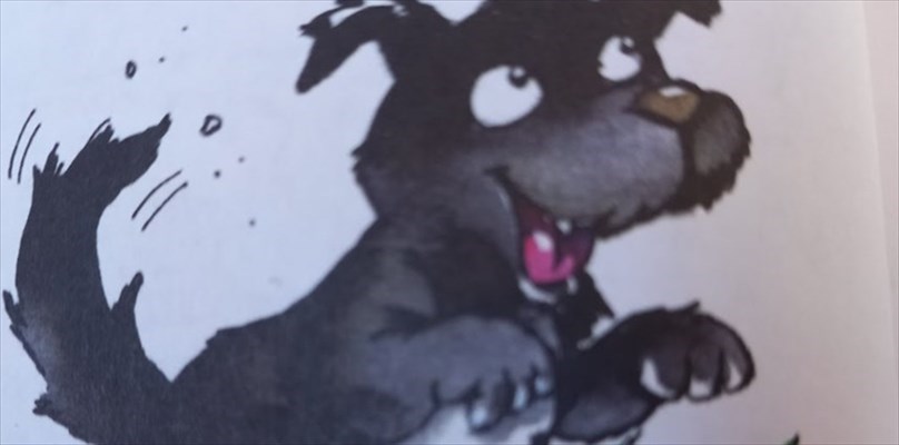 Bobi, il cane più anziano del mondo, festeggia il suo 31° compleanno