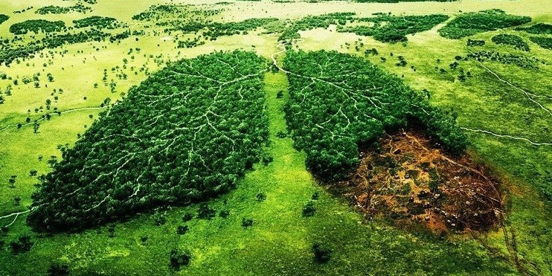 L’Amazzonia brucia