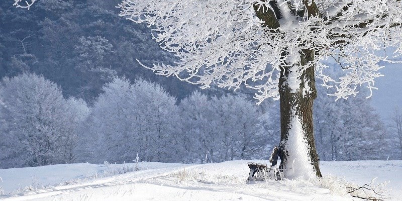 La neve