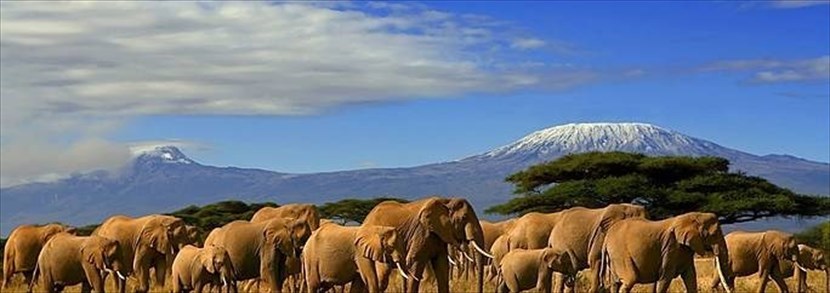 Il Parco Nazionale del Tarangire