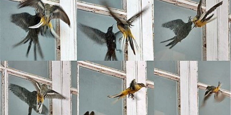 Cieli più sicuri