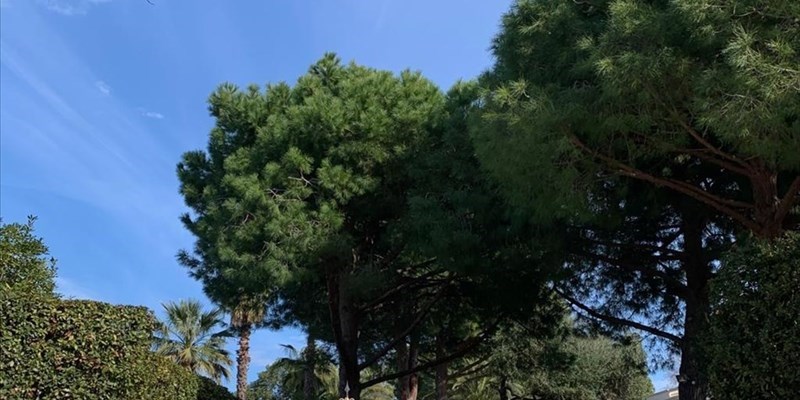 Spagna, il Parco Nazionale di Doñana è a rischio