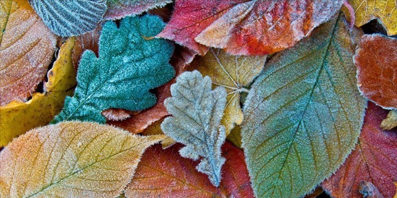 L’oroscopo dei colori
