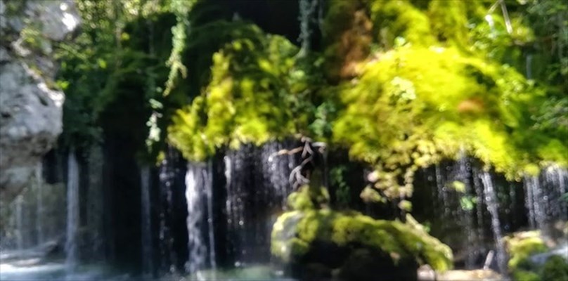 I parchi divertimento ecologici