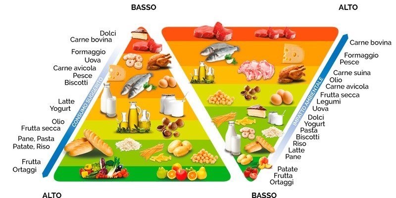 La piramide alimentare diventa doppia: alimentare e ambientale