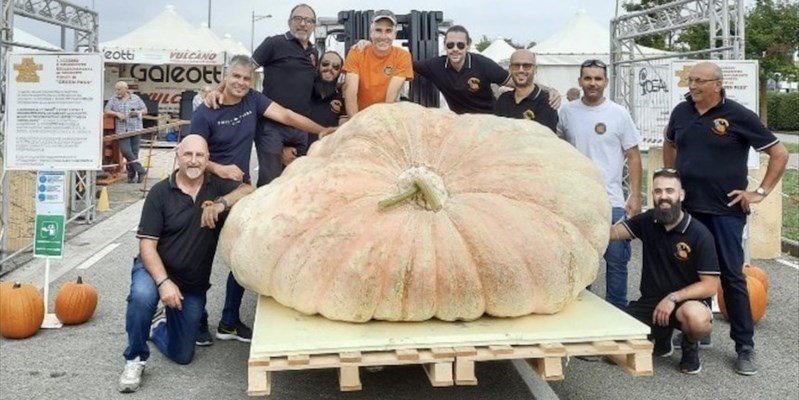 Una zucca da record a Radda in Chianti