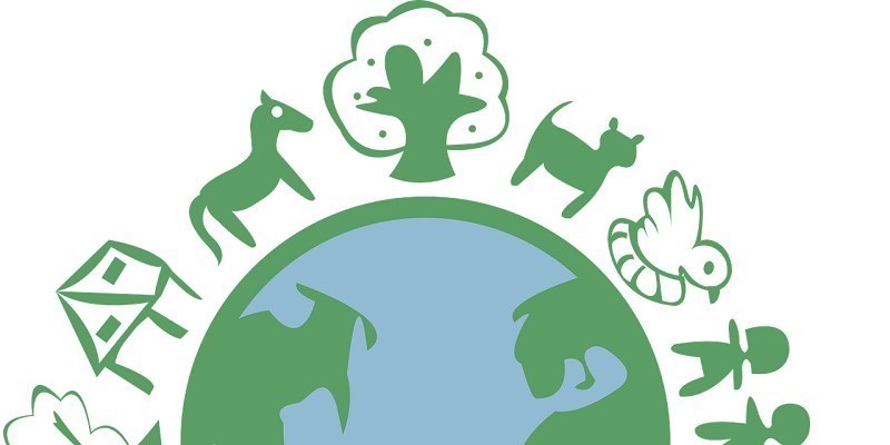 L’ecosistema è fatto di relazioni